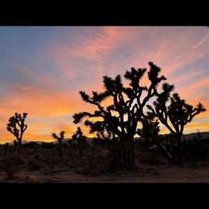 Meet your Posher, Lindsay